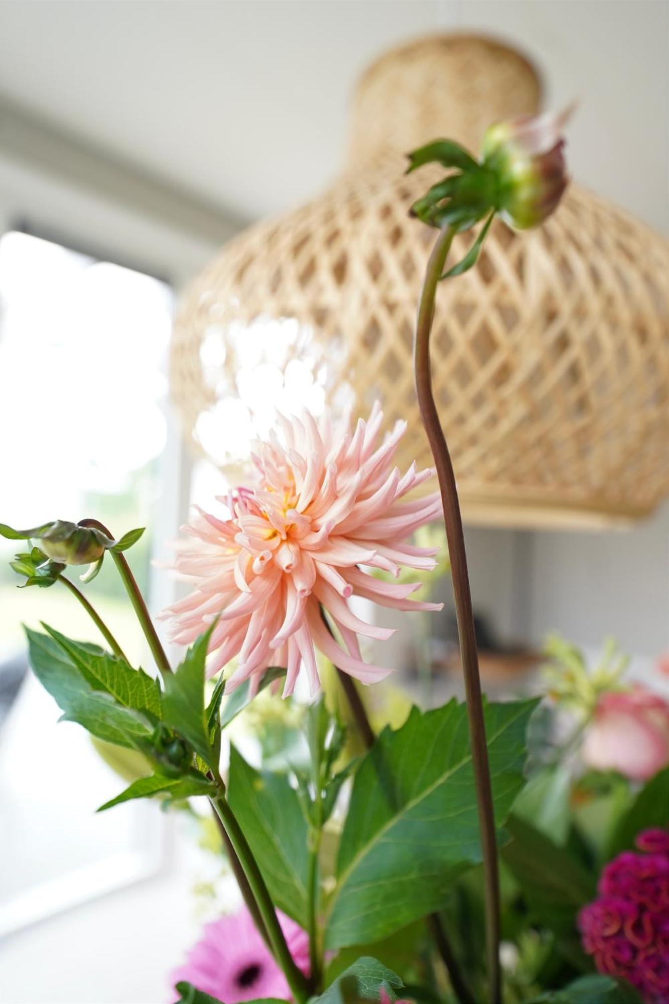 Luxe Lodge 'Bold' Nabij Bos En Veluwemeer - 4 Pers 에르멜로 외부 사진